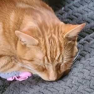 Meet your Posher, Cathy